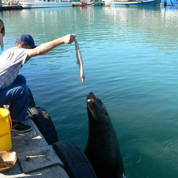 Erlebnis-Reisen Sudafrika Victoria Falls Mahlzeiten Aktivitäten